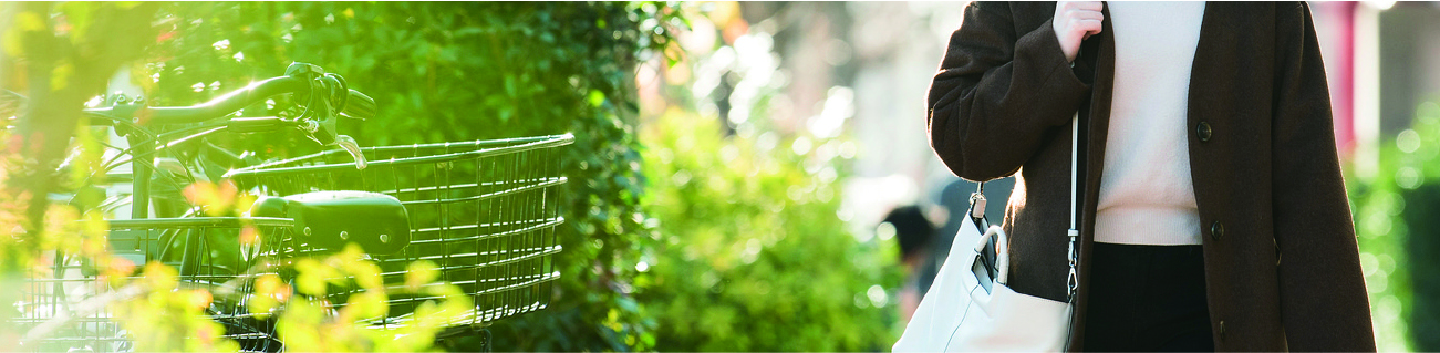 周辺環境・アクセス